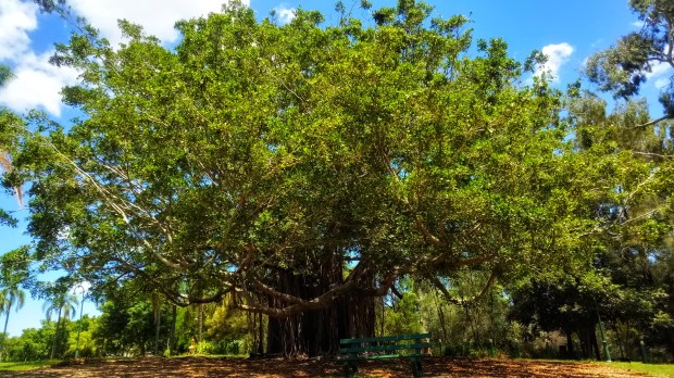 IMG20180207124330-01